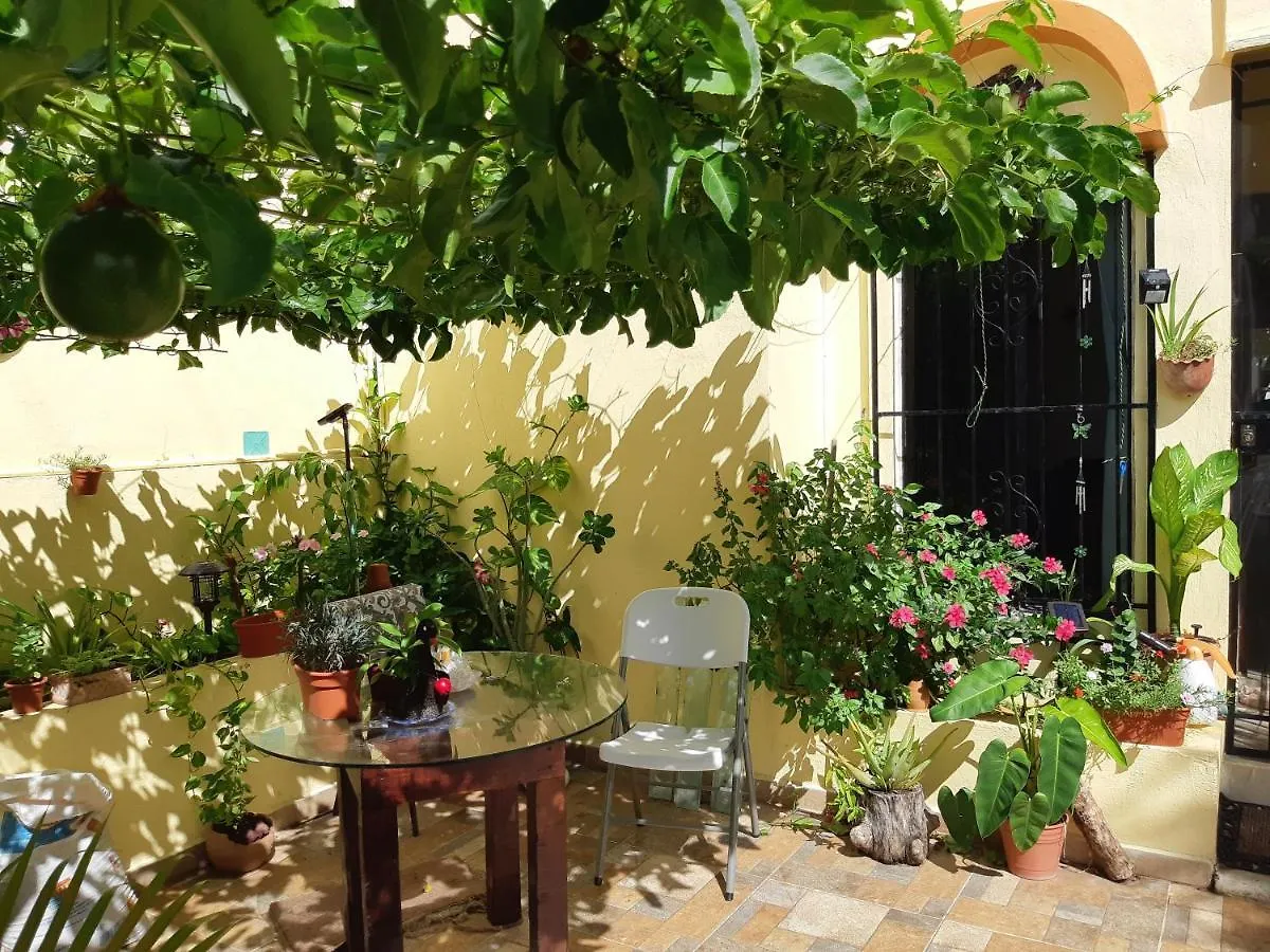Homestay Mayapan 25 Apartment Cancun